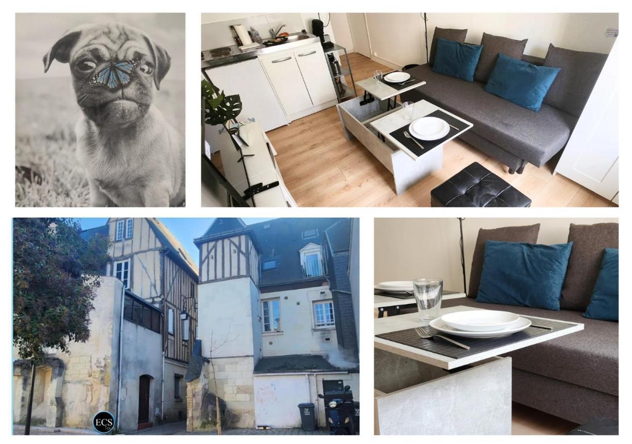 "Colbert Studio" Coeur De Ville - Cathedrale Saint Gatien ตูร์ ภายนอก รูปภาพ